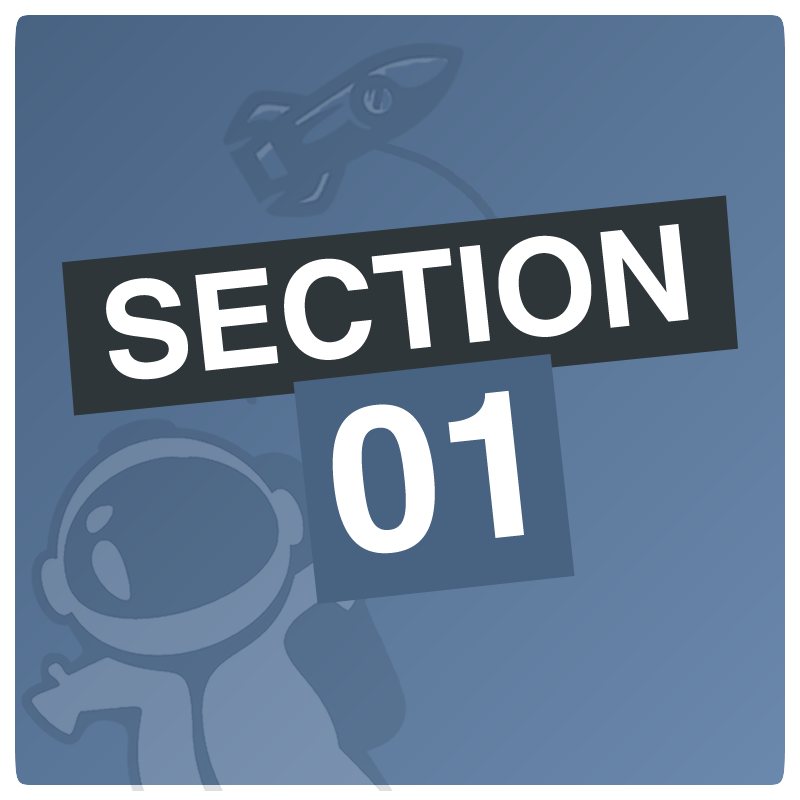 Section.01