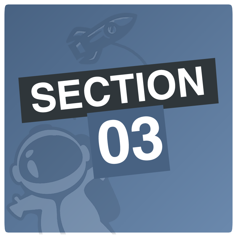 Section.03