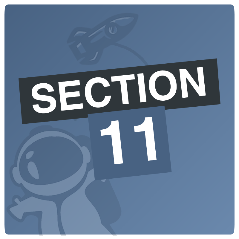Section.11